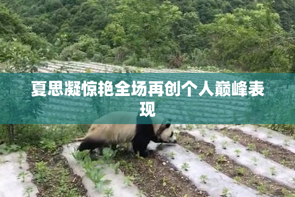 夏思凝惊艳全场再创个人巅峰表现