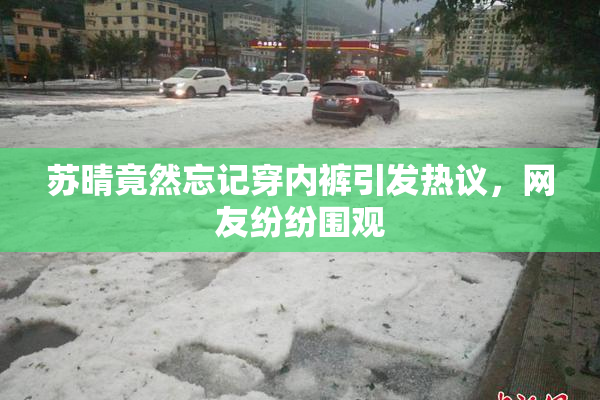 苏晴竟然忘记穿内裤引发热议，网友纷纷围观