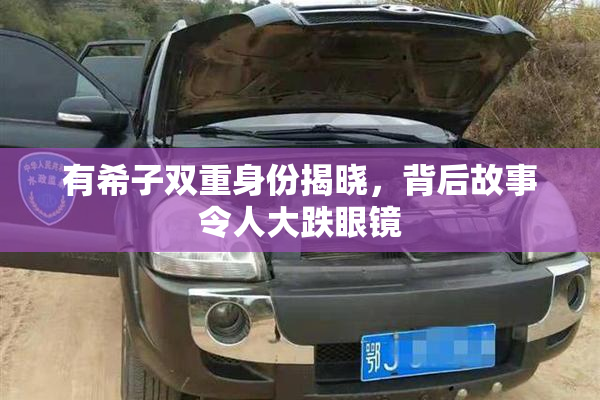 有希子双重身份揭晓，背后故事令人大跌眼镜
