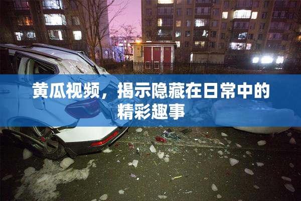 黄瓜视频，揭示隐藏在日常中的精彩趣事
