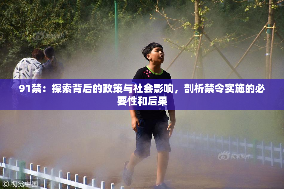 91禁：探索背后的政策与社会影响，剖析禁令实施的必要性和后果