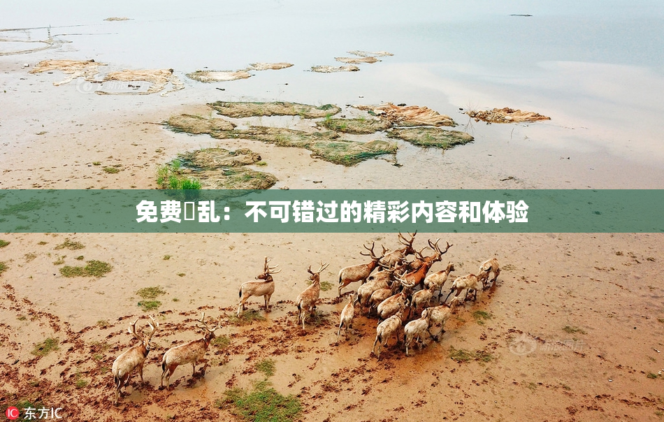 免费婬乱：不可错过的精彩内容和体验
