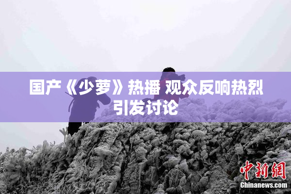 国产《少萝》热播 观众反响热烈引发讨论