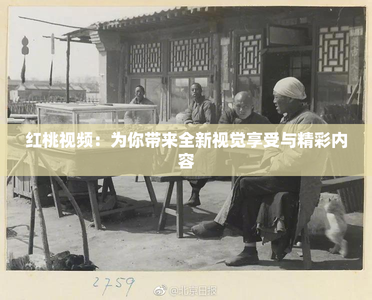 红桃视频：为你带来全新视觉享受与精彩内容