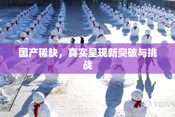 国产稀缺，真实呈现新突破与挑战