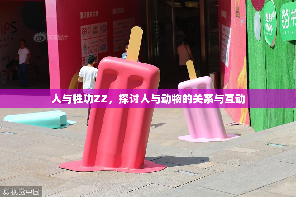 人与牲功ZZ，探讨人与动物的关系与互动