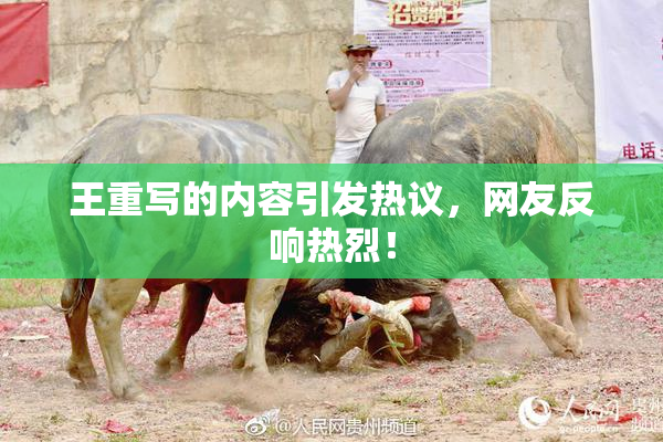 王重写的内容引发热议，网友反响热烈！