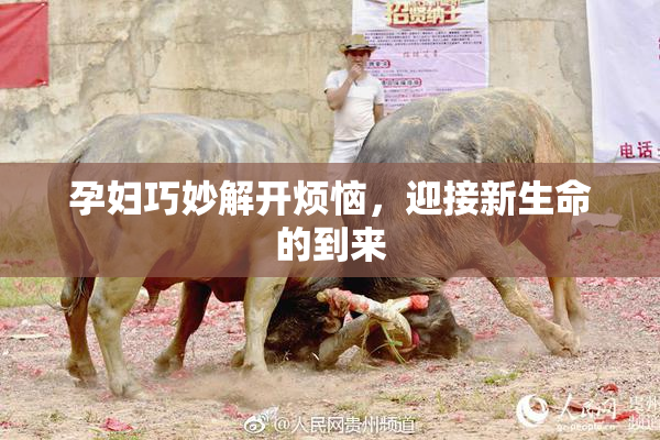 孕妇巧妙解开烦恼，迎接新生命的到来
