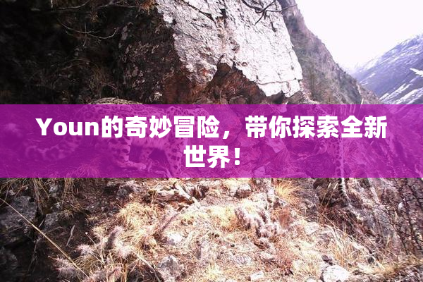 Youn的奇妙冒险，带你探索全新世界！