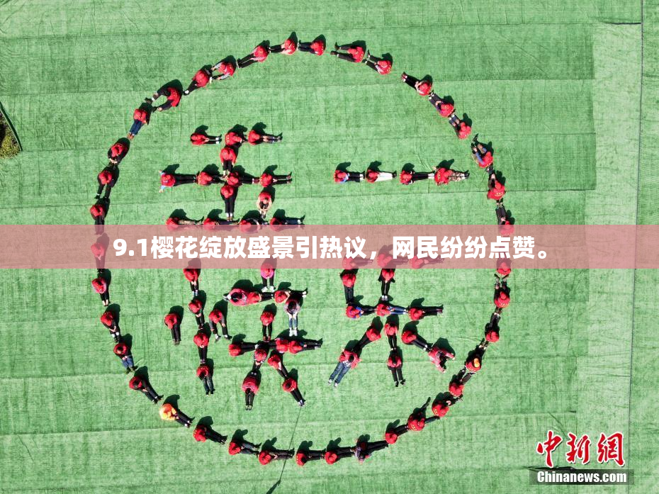 9.1樱花绽放盛景引热议，网民纷纷点赞。