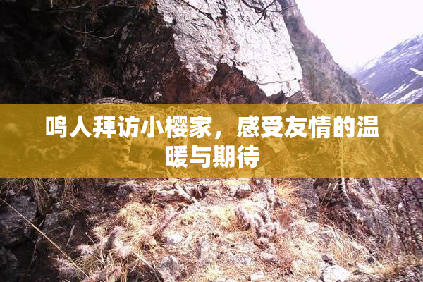 鸣人拜访小樱家，感受友情的温暖与期待