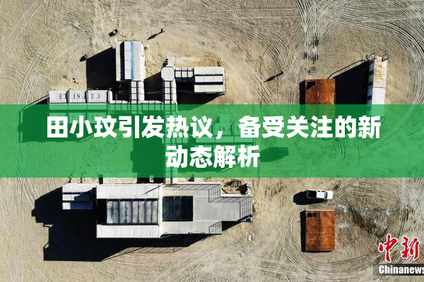 田小玟引发热议，备受关注的新动态解析