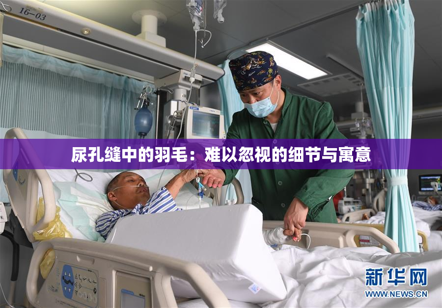 尿孔缝中的羽毛：难以忽视的细节与寓意