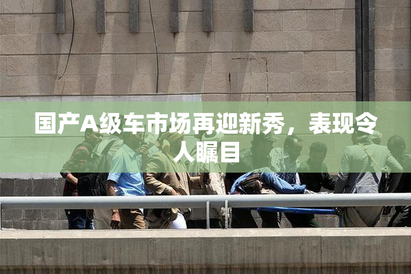 国产A级车市场再迎新秀，表现令人瞩目