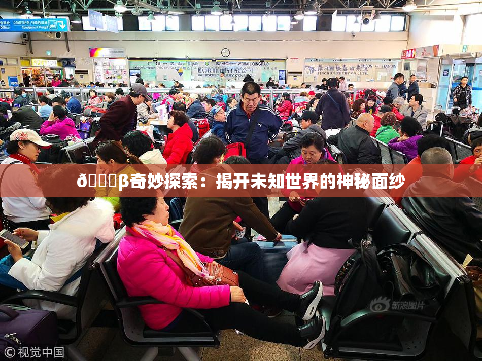 👙β奇妙探索：揭开未知世界的神秘面纱