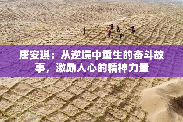 唐安琪：从逆境中重生的奋斗故事，激励人心的精神力量