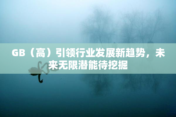 GB（高）引领行业发展新趋势，未来无限潜能待挖掘