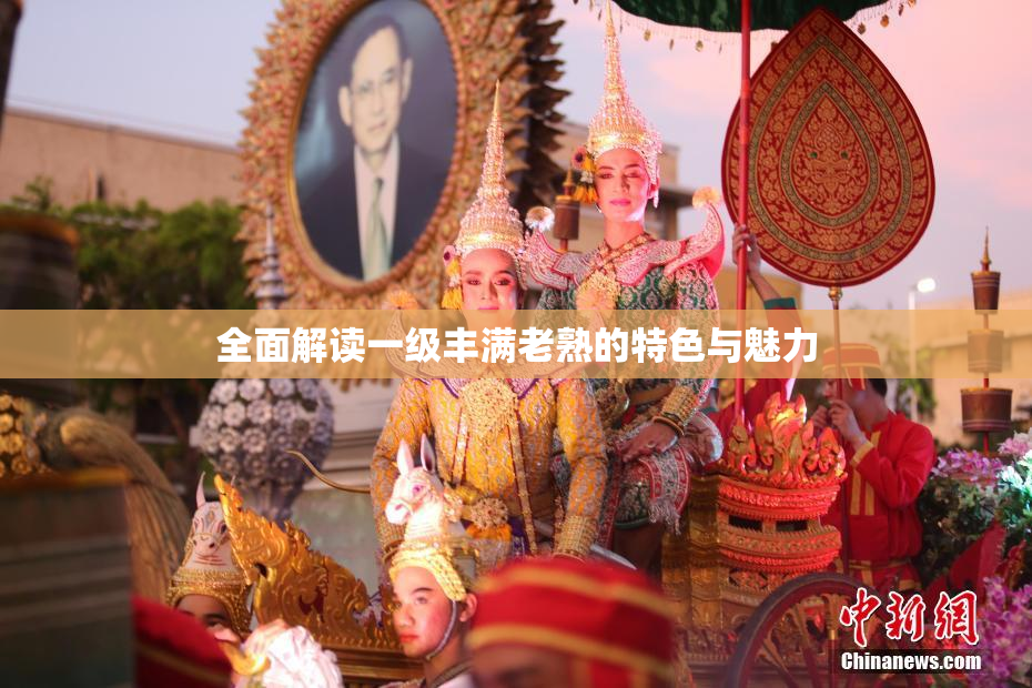 全面解读一级丰满老熟的特色与魅力