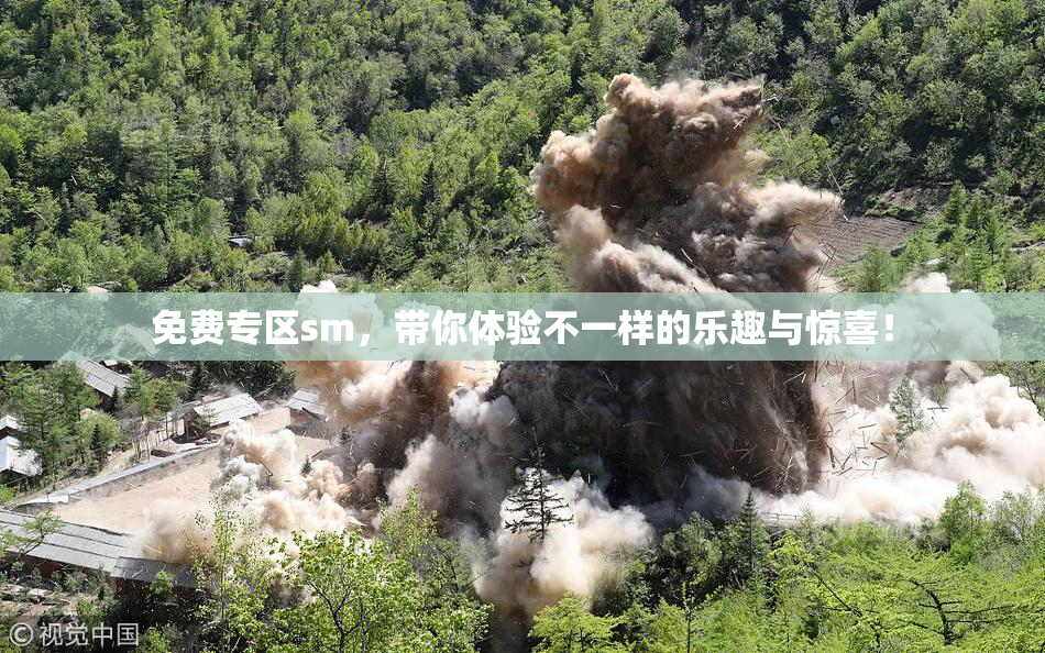 免费专区sm，带你体验不一样的乐趣与惊喜！