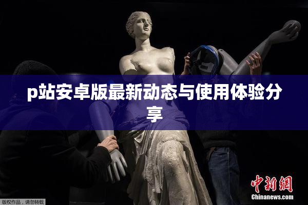 p站安卓版最新动态与使用体验分享