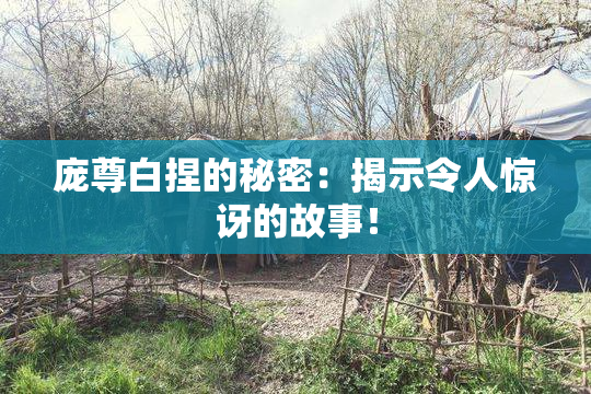庞尊白捏的秘密：揭示令人惊讶的故事！