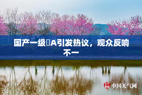 国产一级婬A引发热议，观众反响不一