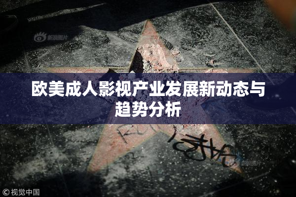 欧美成人影视产业发展新动态与趋势分析