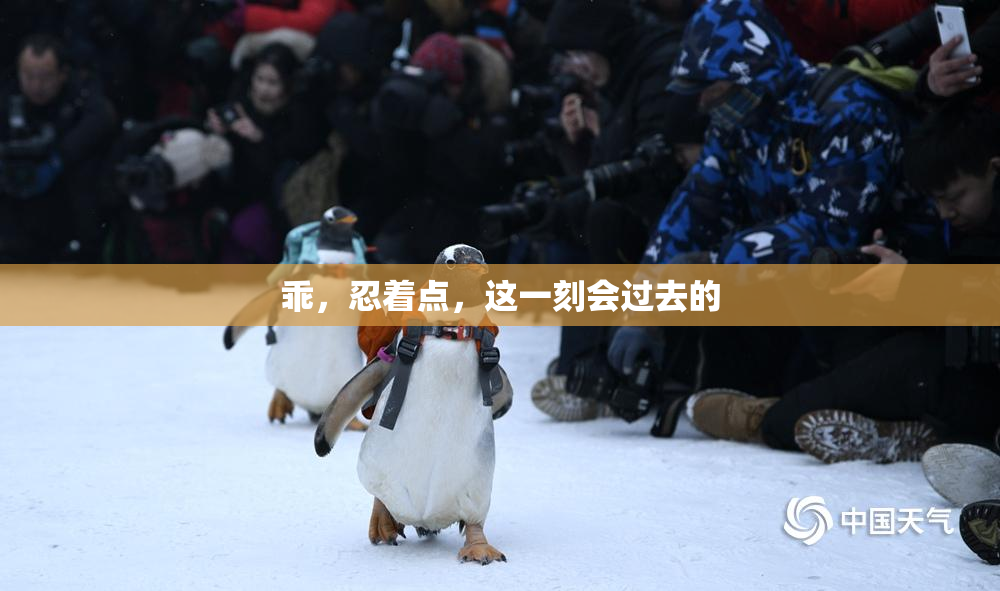 乖，忍着点，这一刻会过去的