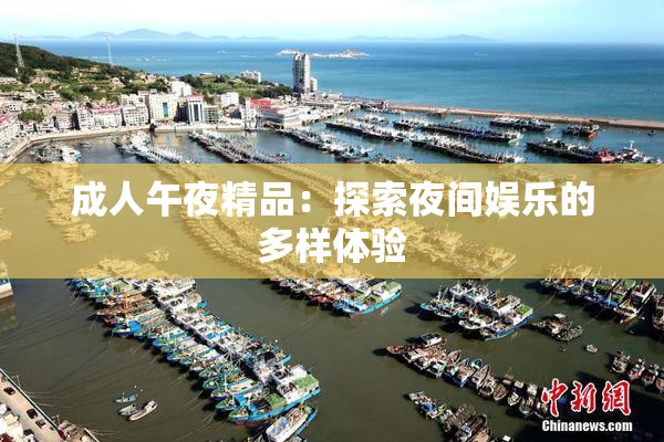 成人午夜精品：探索夜间娱乐的多样体验