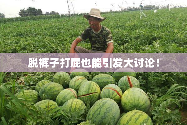脱裤子打屁也能引发大讨论！