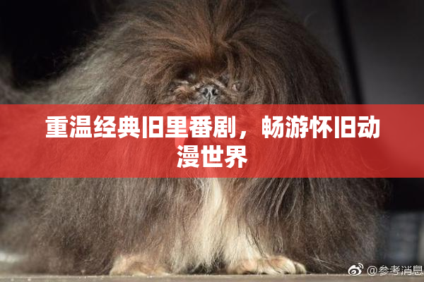 重温经典旧里番剧，畅游怀旧动漫世界