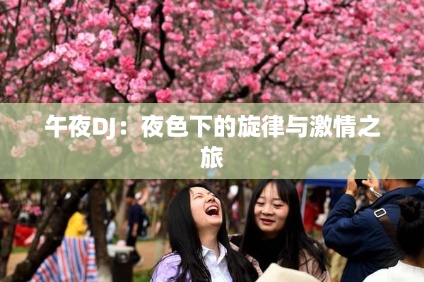 午夜DJ：夜色下的旋律与激情之旅