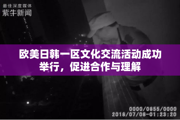 欧美日韩一区文化交流活动成功举行，促进合作与理解