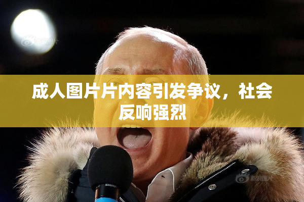 成人图片片内容引发争议，社会反响强烈