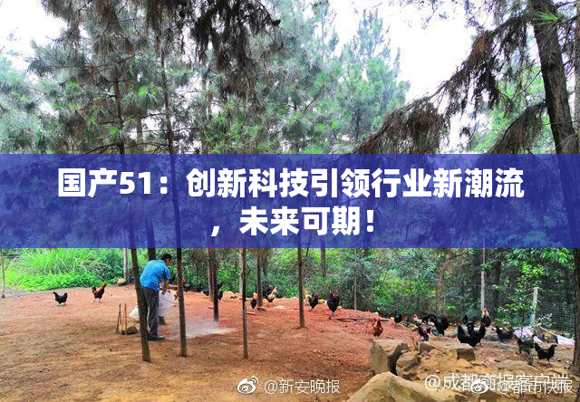 国产51：创新科技引领行业新潮流，未来可期！