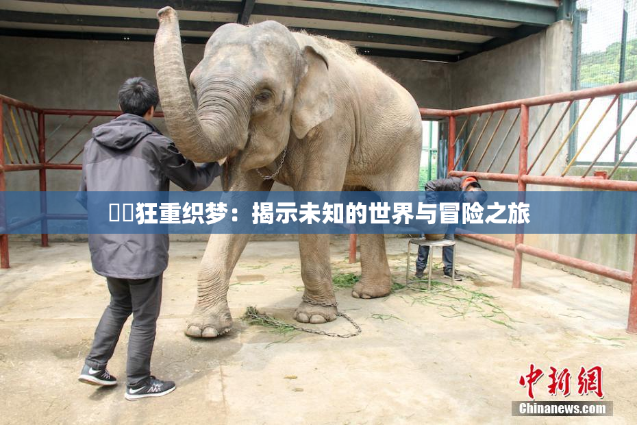 ❌‌狂重织梦：揭示未知的世界与冒险之旅