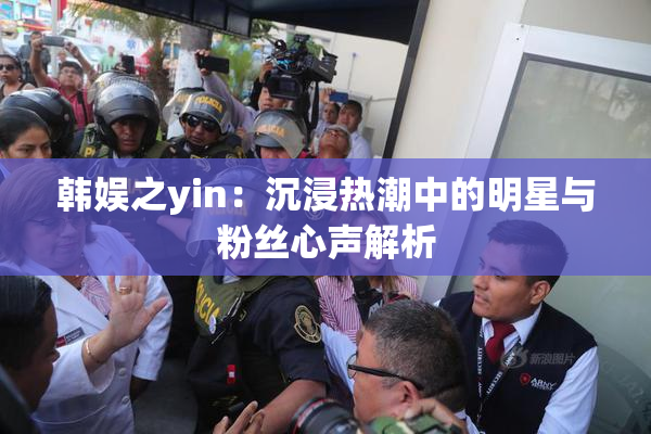 韩娱之yin：沉浸热潮中的明星与粉丝心声解析