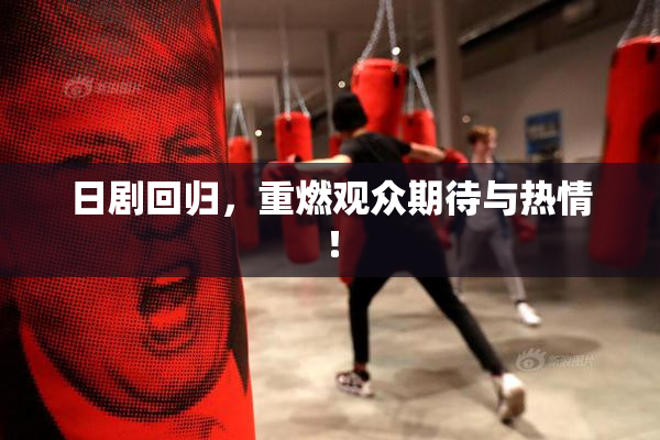 日剧回归，重燃观众期待与热情！