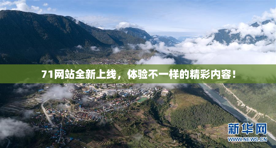 71网站全新上线，体验不一样的精彩内容！