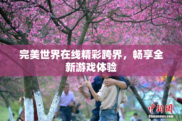 完美世界在线精彩跨界，畅享全新游戏体验