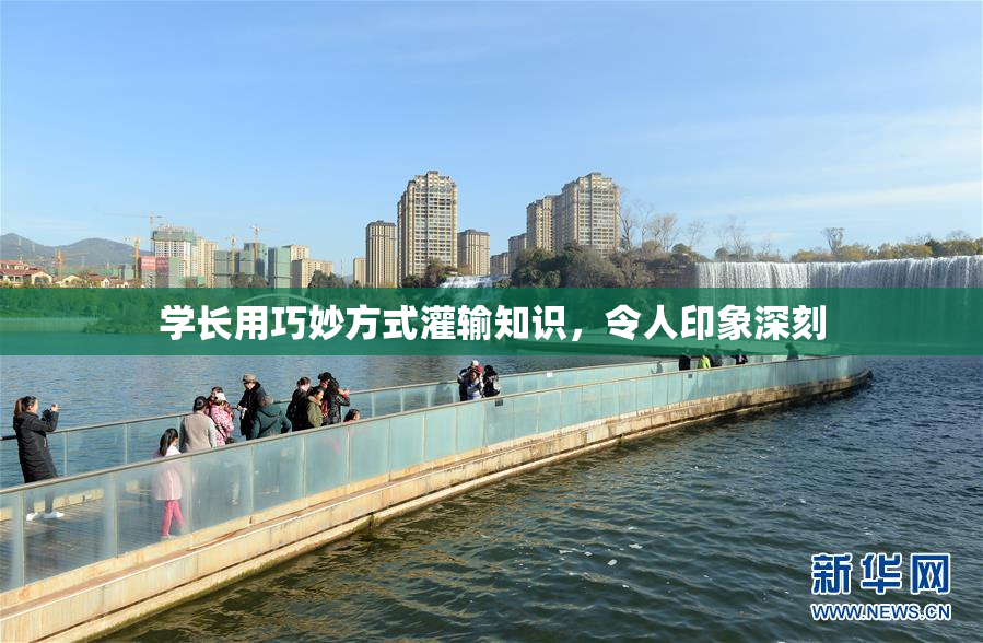 学长用巧妙方式灌输知识，令人印象深刻