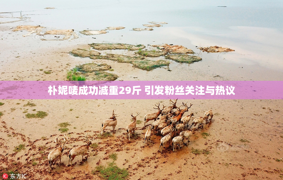 朴妮唛成功减重29斤 引发粉丝关注与热议
