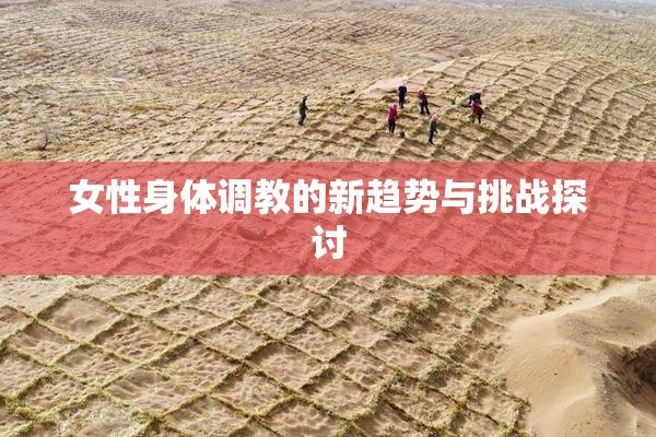女性身体调教的新趋势与挑战探讨