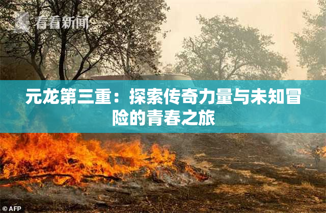 元龙第三重：探索传奇力量与未知冒险的青春之旅