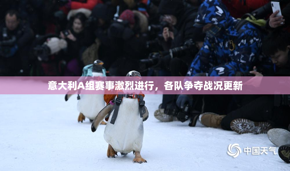 意大利A组赛事激烈进行，各队争夺战况更新