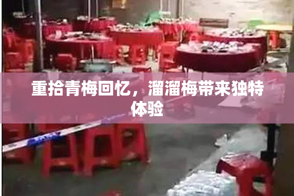 重拾青梅回忆，溜溜梅带来独特体验