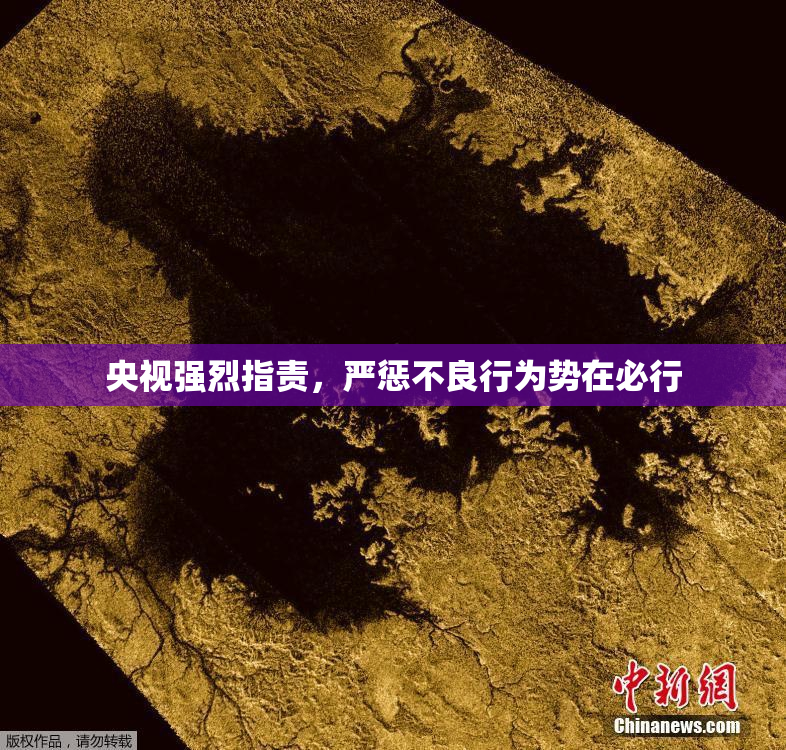 央视强烈指责，严惩不良行为势在必行