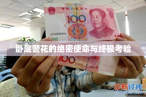 卧底警花的绝密使命与终极考验
