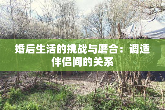 婚后生活的挑战与磨合：调适伴侣间的关系