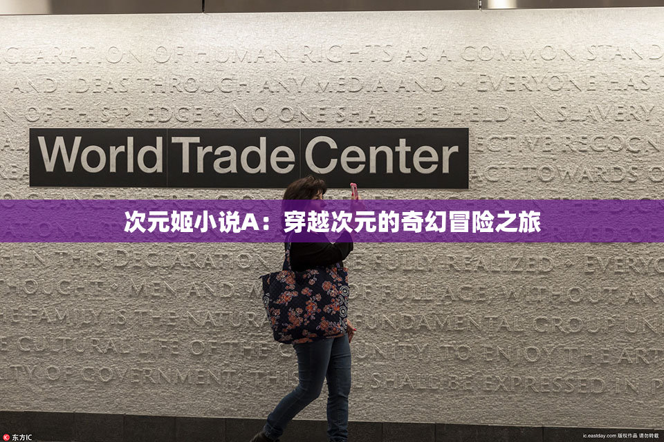 次元姬小说A：穿越次元的奇幻冒险之旅